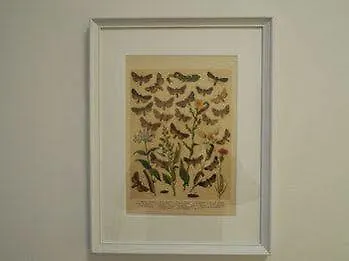 דירה Harrachovsky Palace *