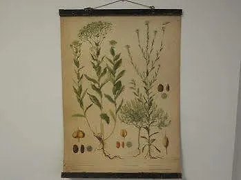 Harrachovsky Palace * פראג